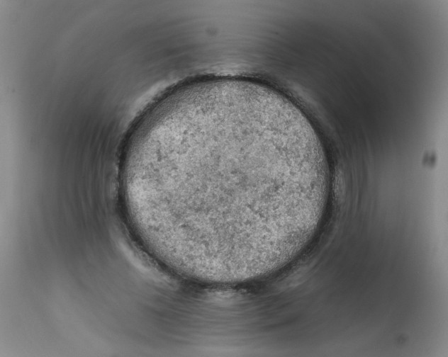 X0000112090540200909151139
