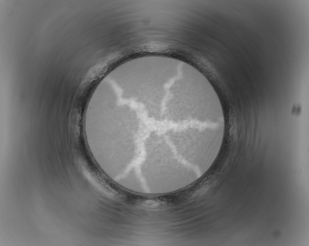X0000112090542200909151139
