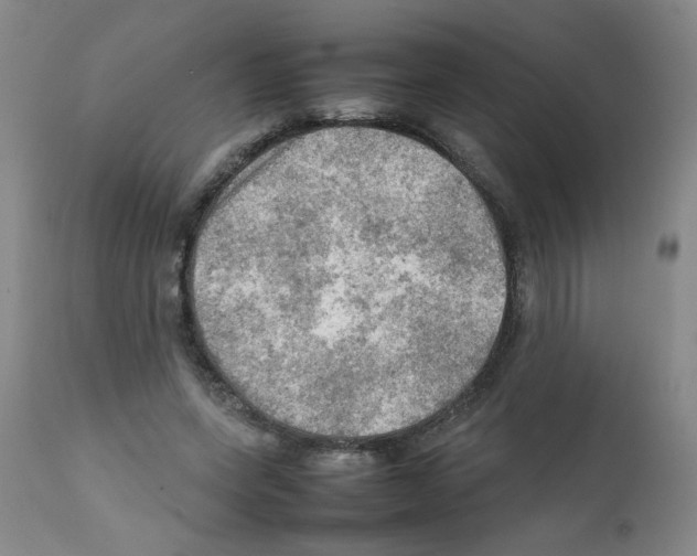 X0000112090543200909151139