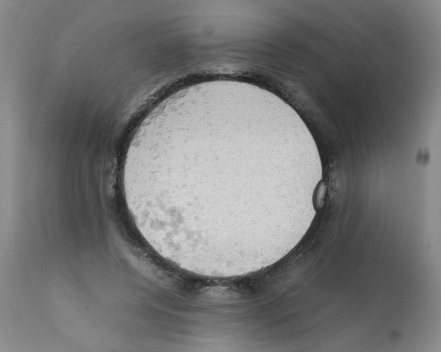 X0000112090544200909151139