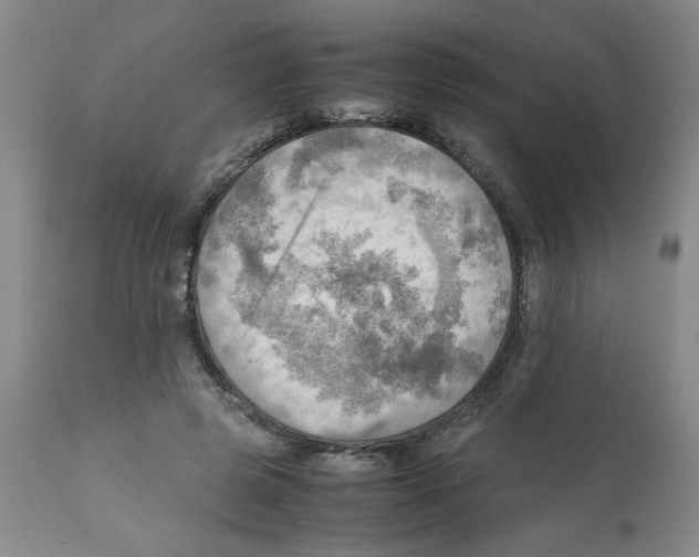 X0000112090545200909151139