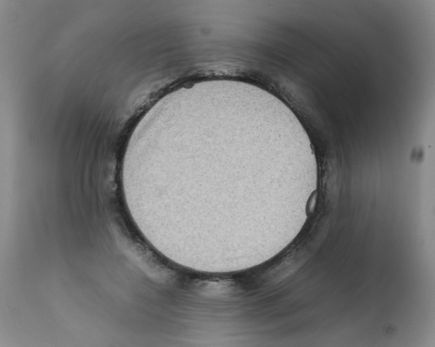 X0000112090548200909151139