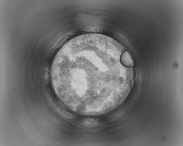 X0000112090549200909151139
