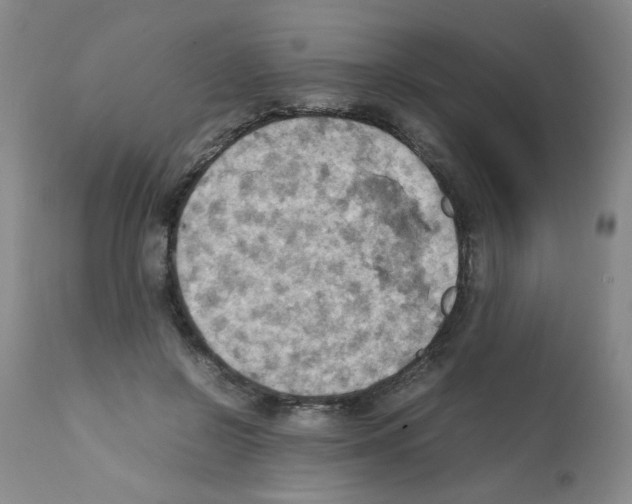 X0000112090550200909151139