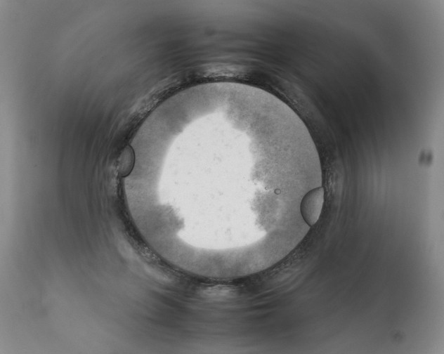 X0000112090551200909151139