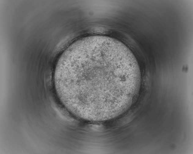 X0000112090552200909151139