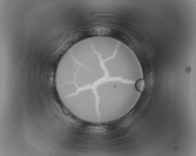 X0000112090553200909151139