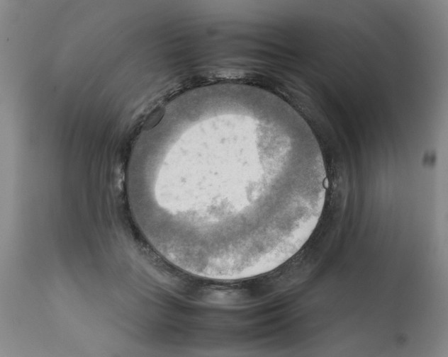 X0000112090555200909151139