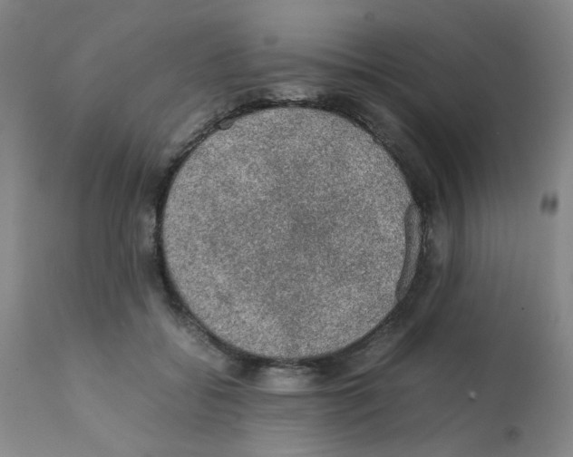 X0000112090556200909151139