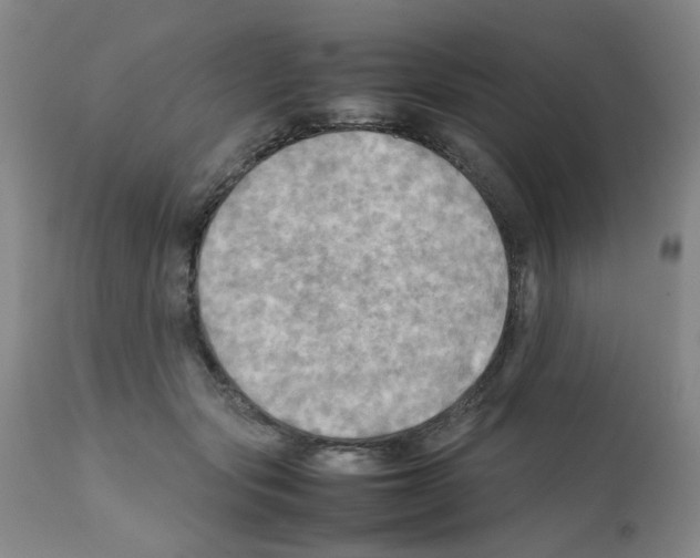 X0000112090557200909151139