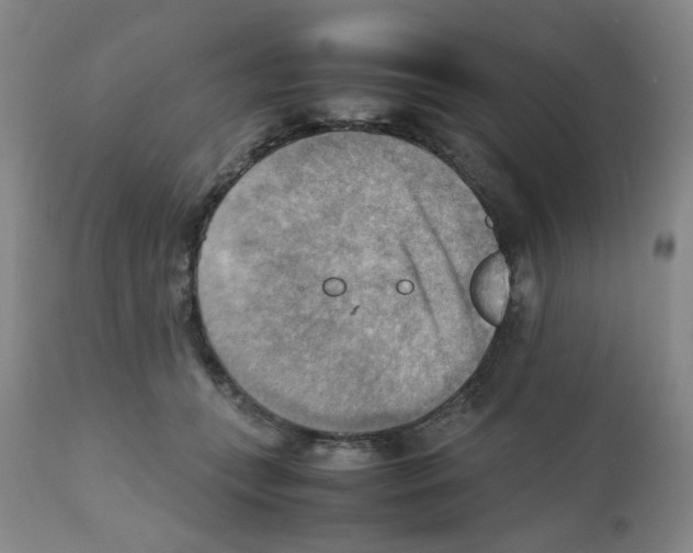 X0000112090559200909151139
