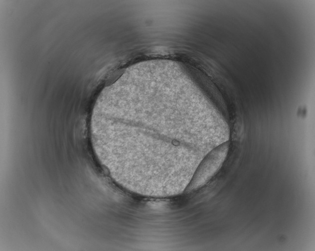 X0000112090560200909151139