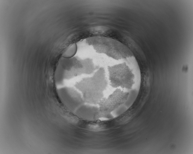X0000112090561200909151139