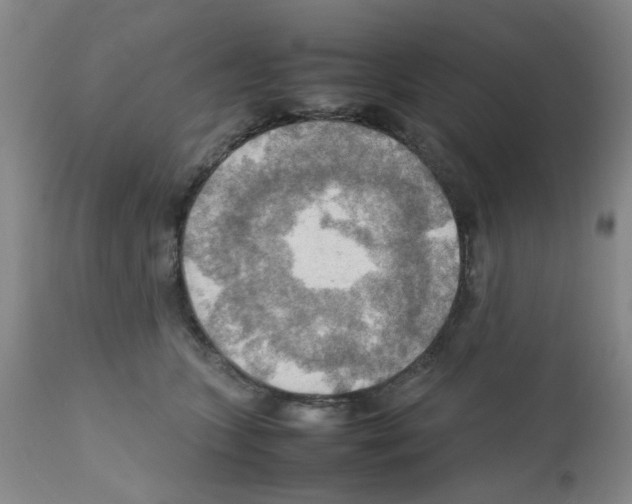X0000112090563200909151139