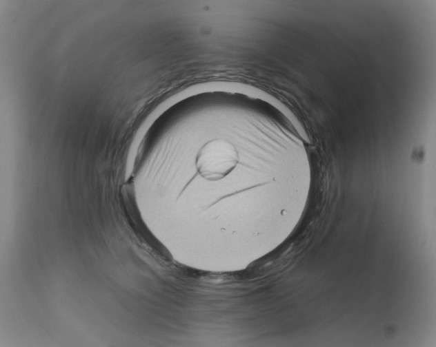 X0000112090564200909151139