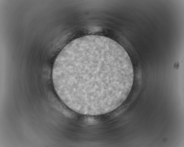 X0000112090565200909151139