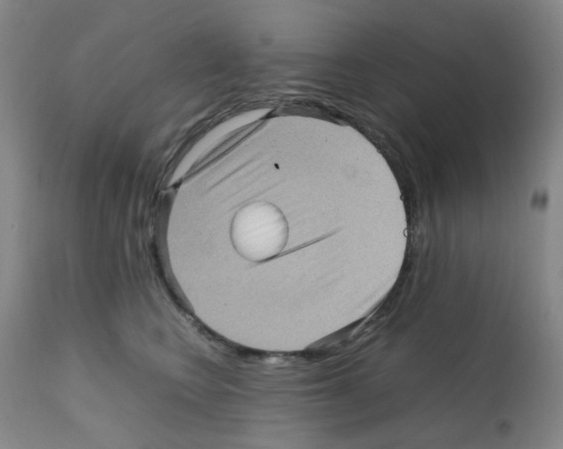 X0000112090566200909151139