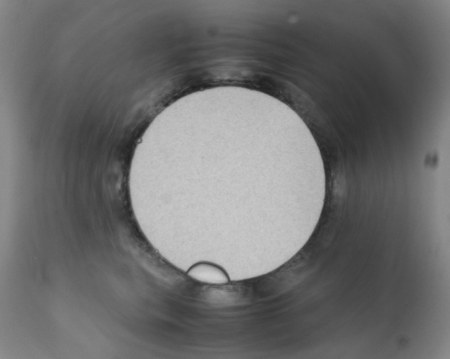 X0000112090567200909151139