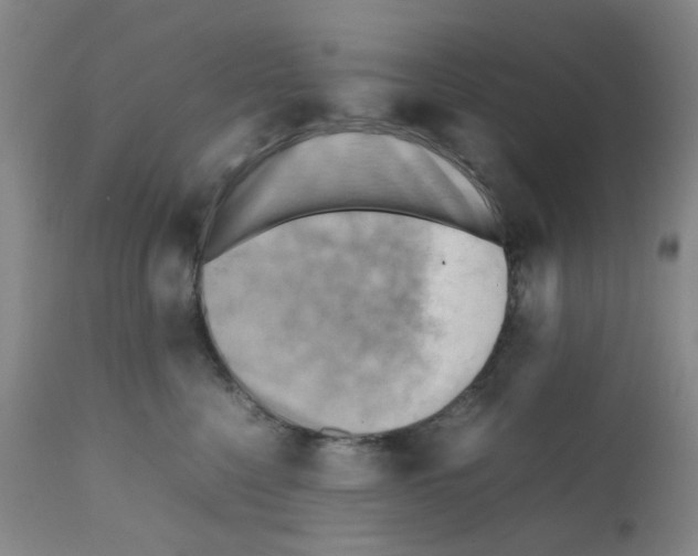 X0000112090568200909151139