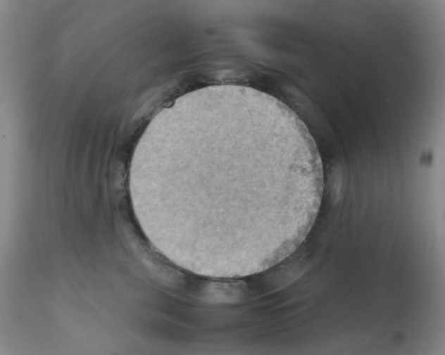 X0000112090571200909151139