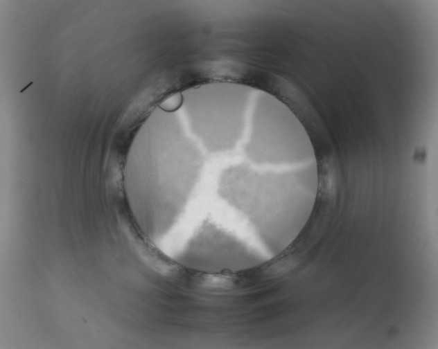 X0000112090573200909151139