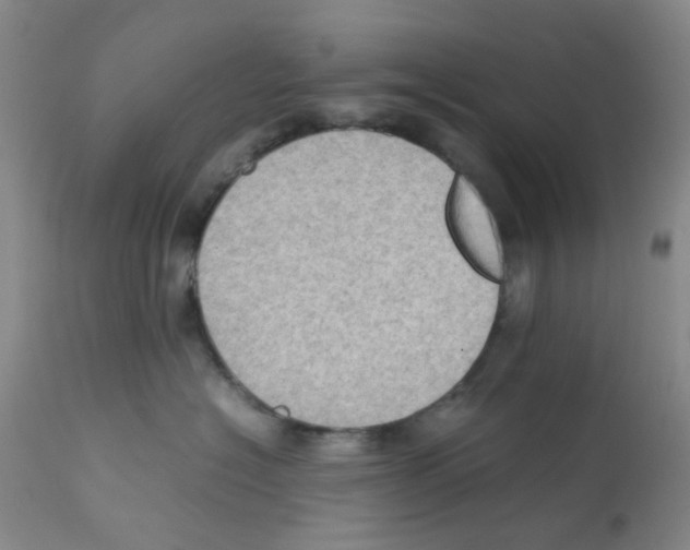 X0000112090574200909151139