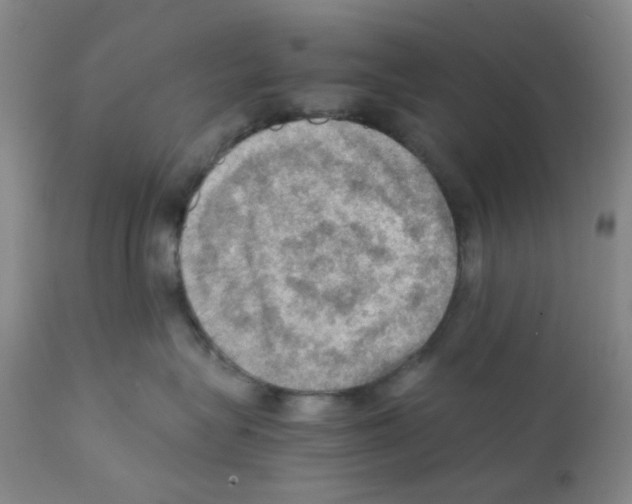 X0000112090575200909151139