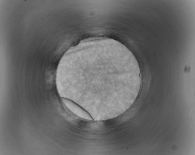 X0000112090576200909151139