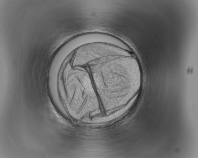 X0000112090577200909151138