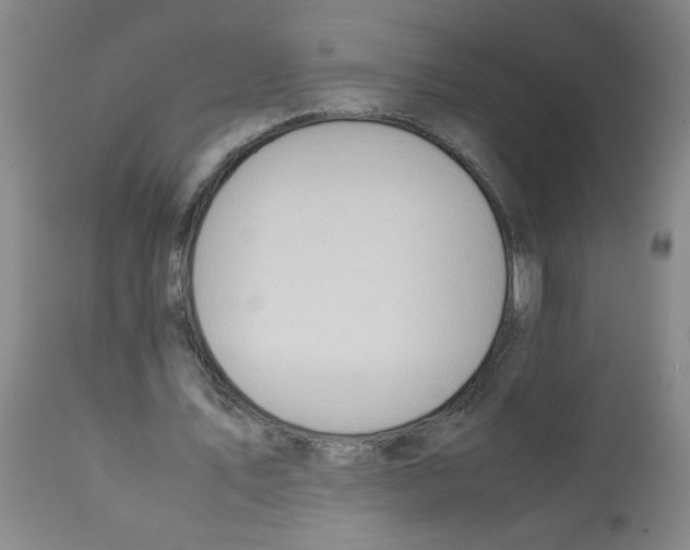 X0000112090579200909151138