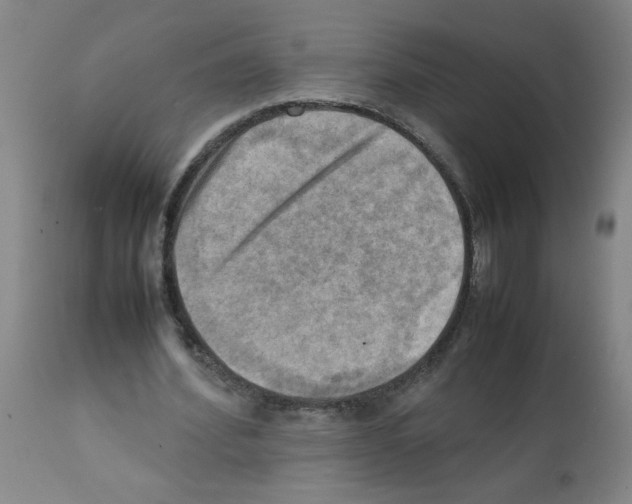 X0000112090580200909151138