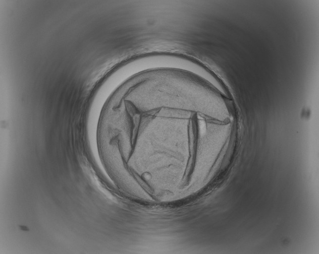 X0000112090581200909151138
