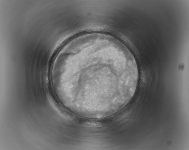 X0000112090582200909151138