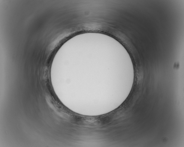 X0000112090583200909151138