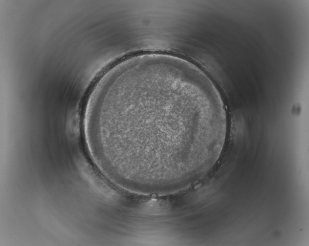 X0000112090584200909151138