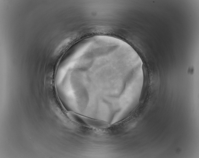 X0000112090585200909151138