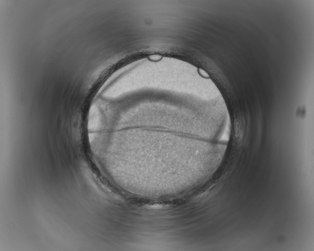 X0000112090588200909151138