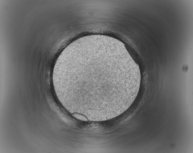 X0000112090589200909151138