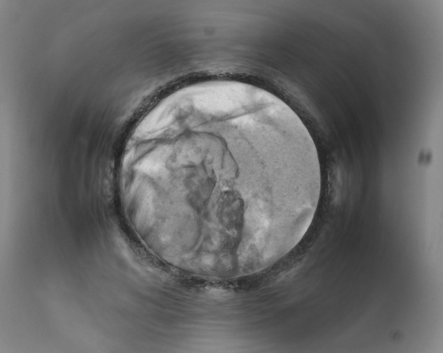 X0000112090592200909151138