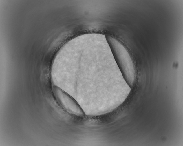 X0000112090593200909151138