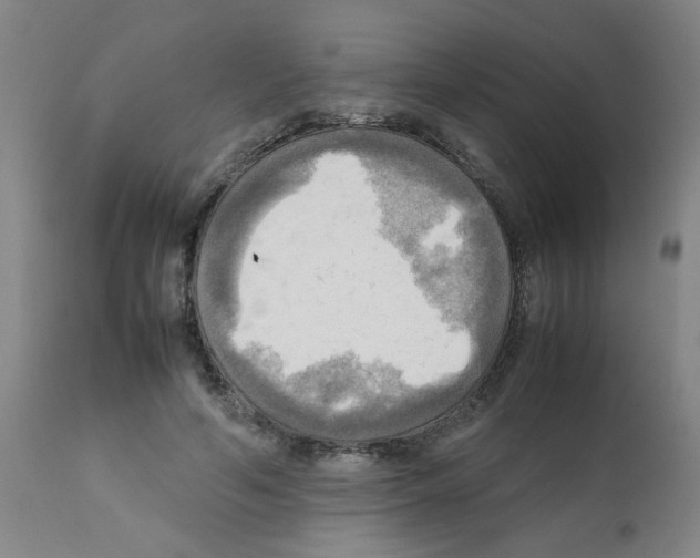 X0000112090594200909151138