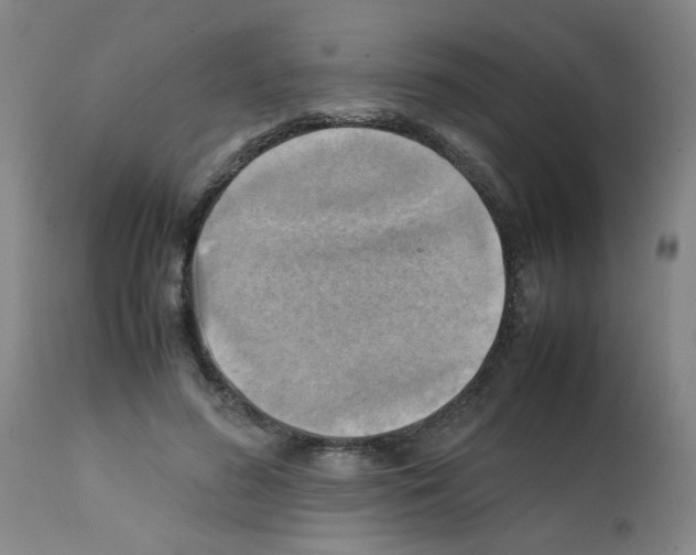 X0000112090596200909151138