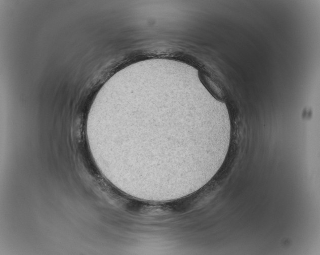 X0000112090597200909151138