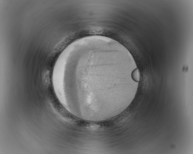 X0000112090598200909151138