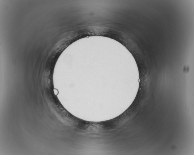 X0000112090599200909151138