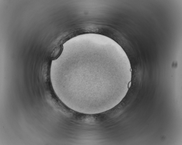 X0000112090600200909151138
