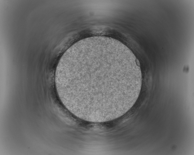 X0000112090601200909151138