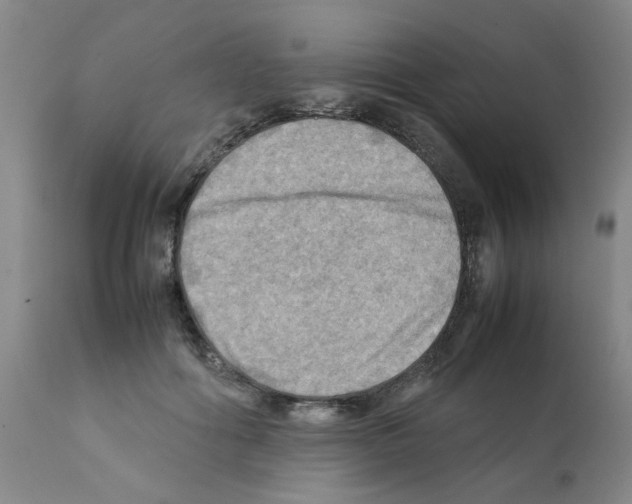 X0000112090602200909151138