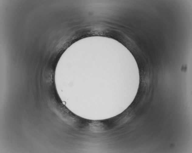 X0000112090603200909151138