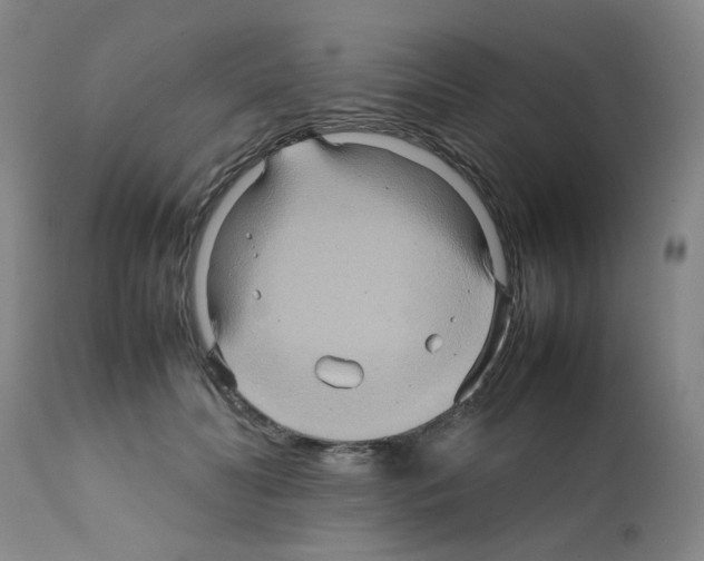 X0000112090606200909151138